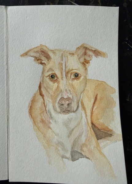 Watercolor portrait of a tan and white dog with perked ears